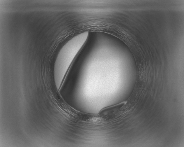 X0000060220748200510280911