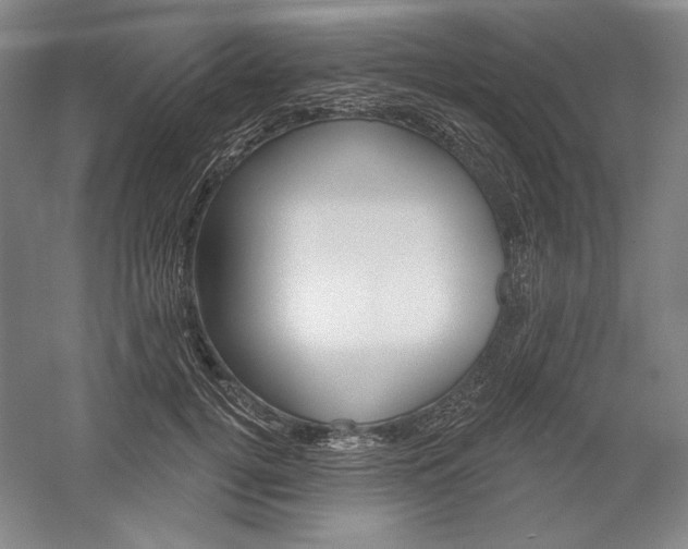 X0000060220752200510280911