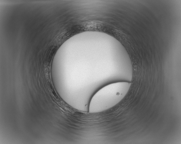 X0000060220753200510280911