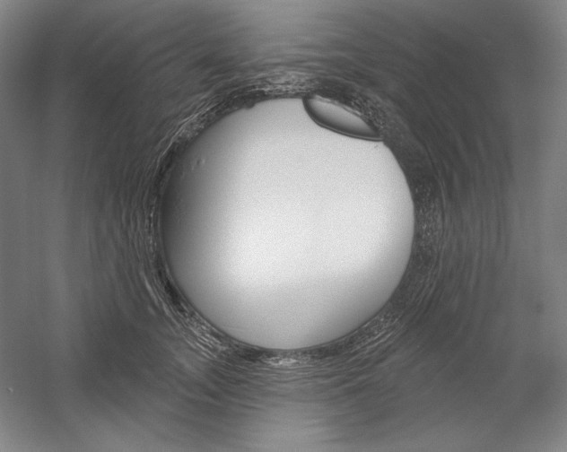 X0000060220755200510280911