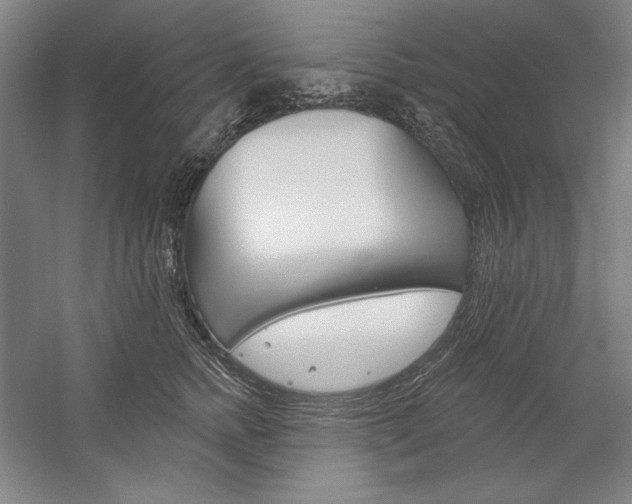 X0000060220758200510280911