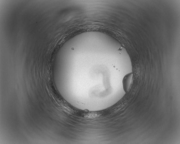 X0000060220759200510280911