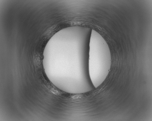 X0000060220761200510280911