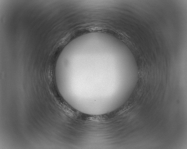X0000060220763200510280911