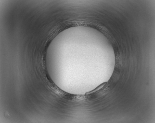 X0000060220765200510280911