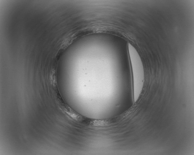 X0000060220766200510280911