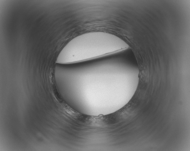 X0000060220767200510280911