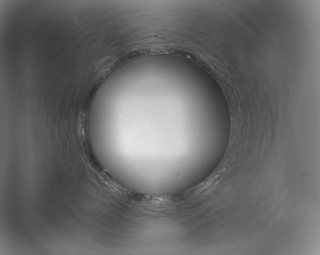 X0000060220768200510280911