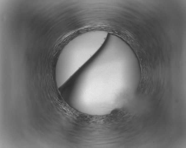 X0000060220773200510280910