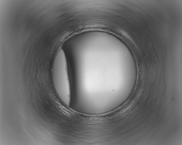 X0000060220777200510280910