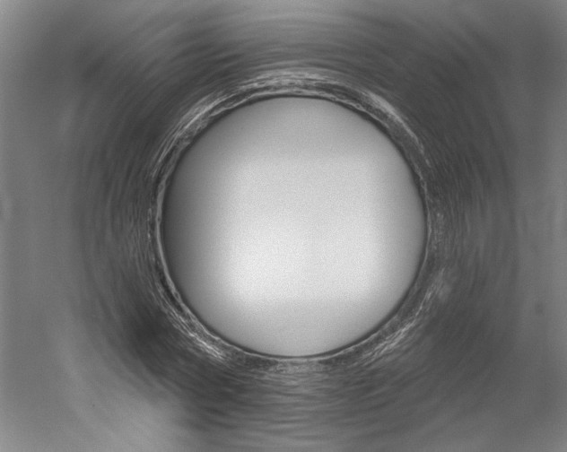 X0000060220778200510280910