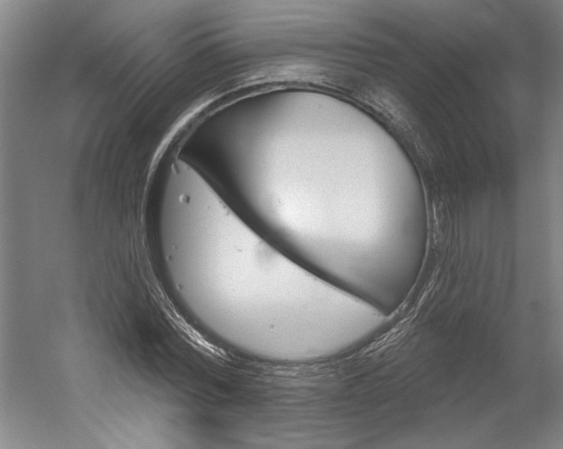 X0000060220780200510280910