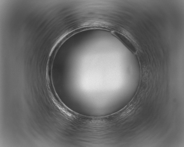 X0000060220788200510280910