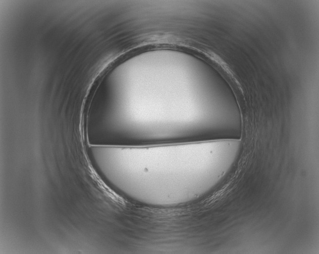 X0000060220791200510280910