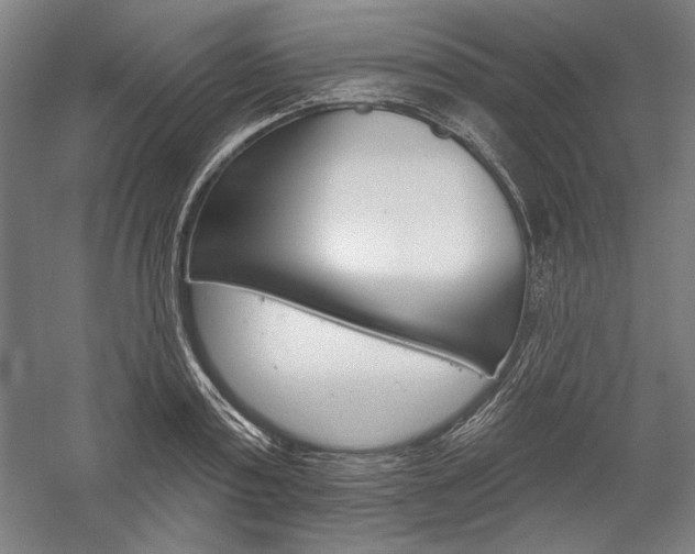 X0000060220795200510280910