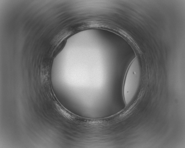 X0000060220801200510280910