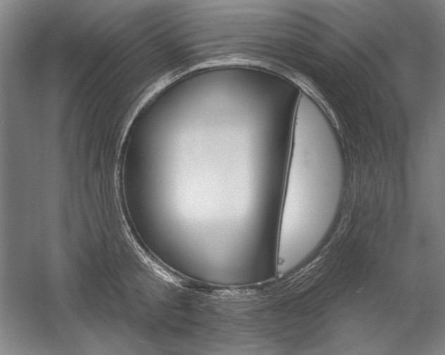 X0000060220805200510280910