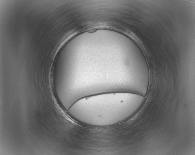 X0000060220806200510280910