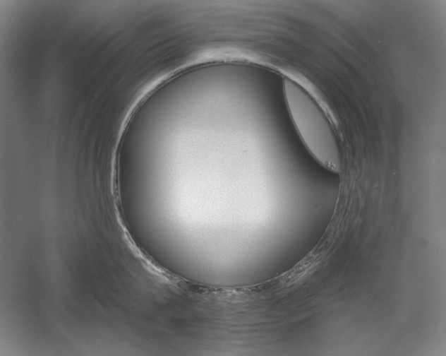 X0000060220815200510280910