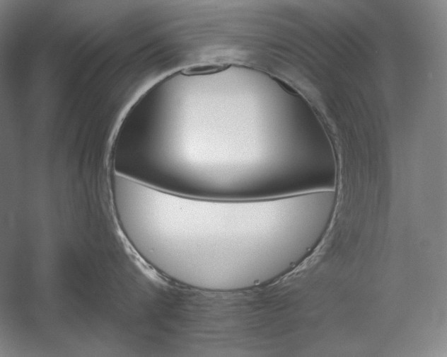 X0000060220816200510280910