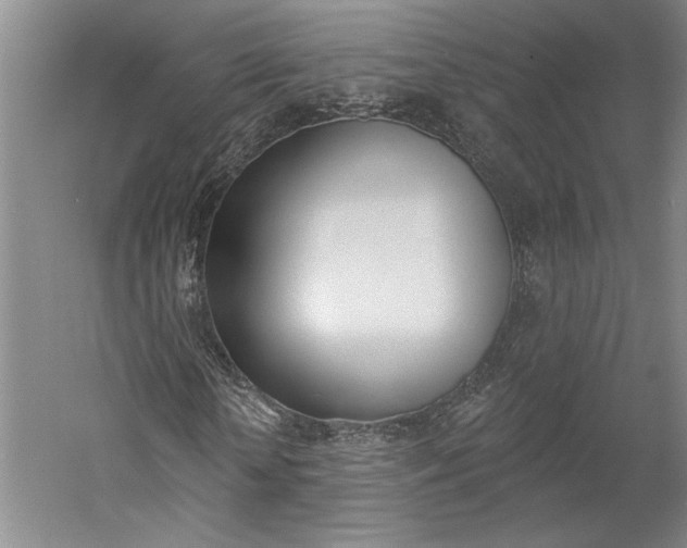 X0000060220818200510280909