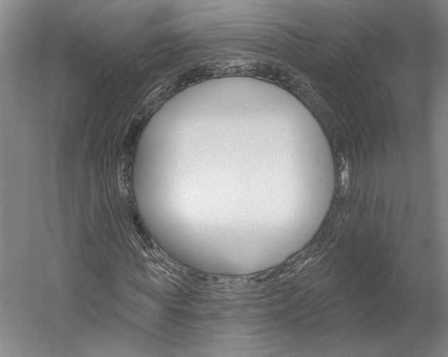 X0000060220819200510280909