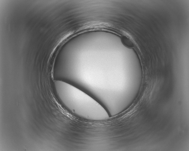 X0000060220827200510280909