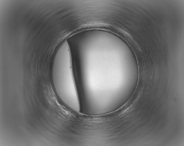 X0000060220833200510280909