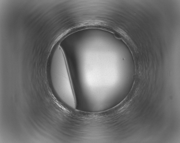 X0000060220834200510280909