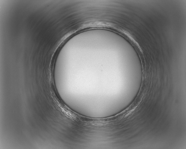 X0000060220837200510280909