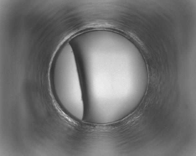 X0000060220840200510280909