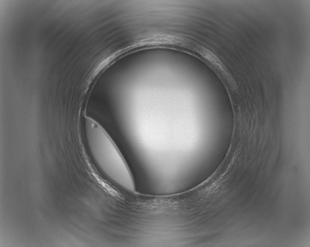 X0000060220842200510280909