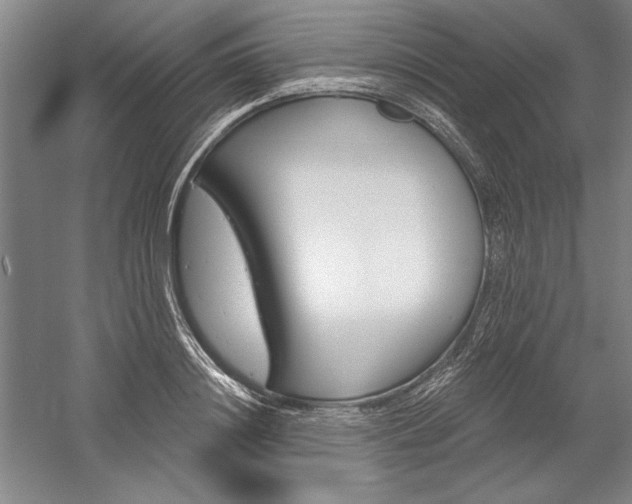 X0000060220844200510280909