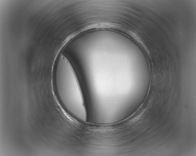 X0000060220845200510280909