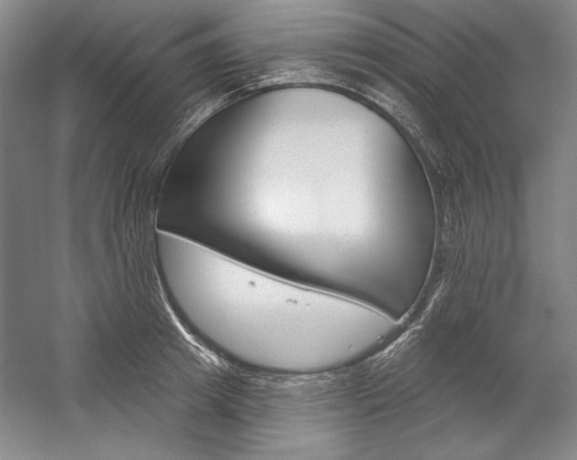 X0000060220849200510280909