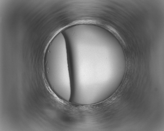 X0000060220852200510280909