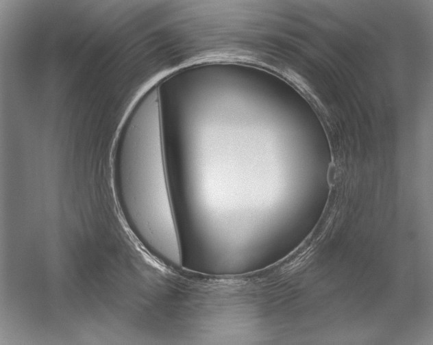 X0000060220854200510280909