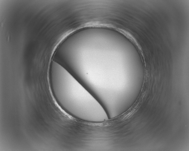 X0000060220855200510280909