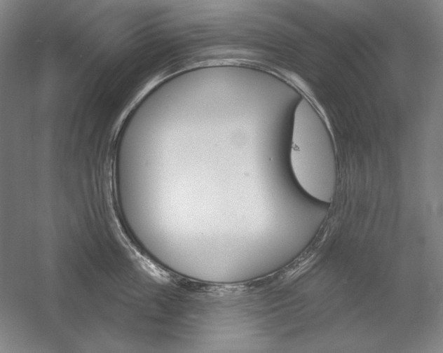 X0000060220859200510280910