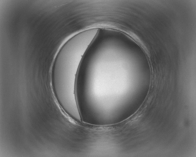 X0000060220862200510280910