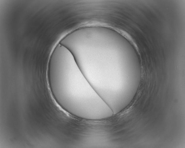 X0000060220863200510280910