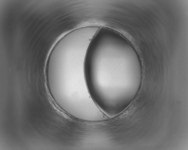 X0000060220864200510280910
