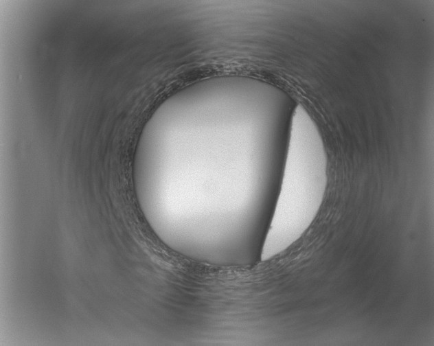 X0000060220865200510280909