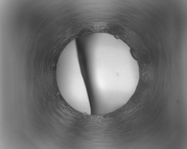 X0000060220866200510280909