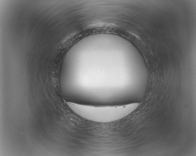 X0000060220869200510280909