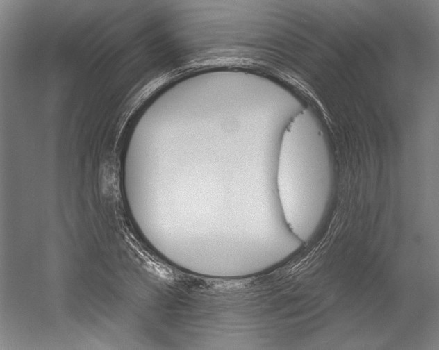 X0000060220882200510280909