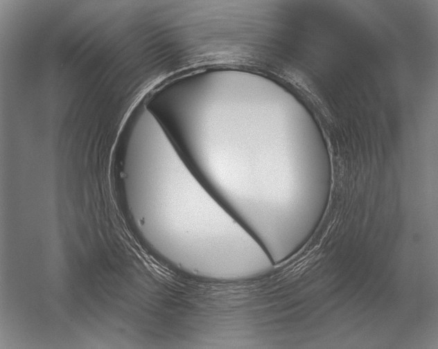 X0000060220883200510280908