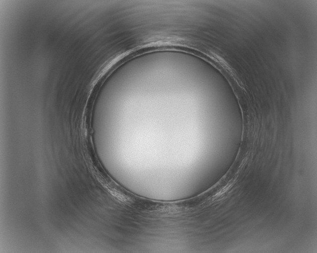 X0000060220885200510280908