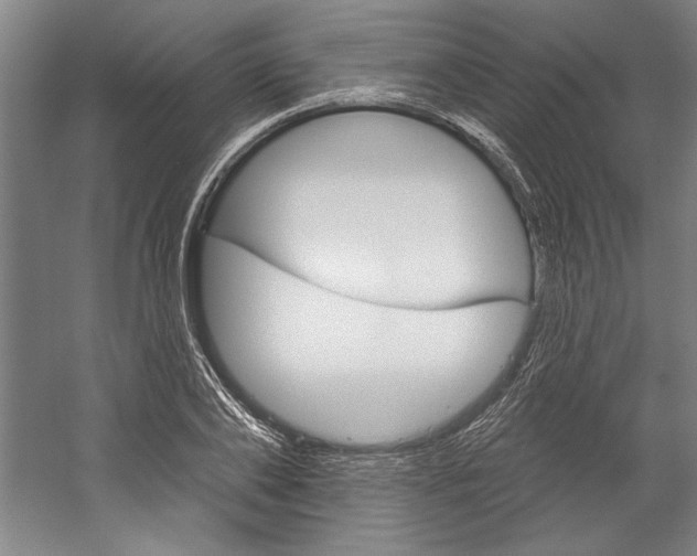X0000060220886200510280908