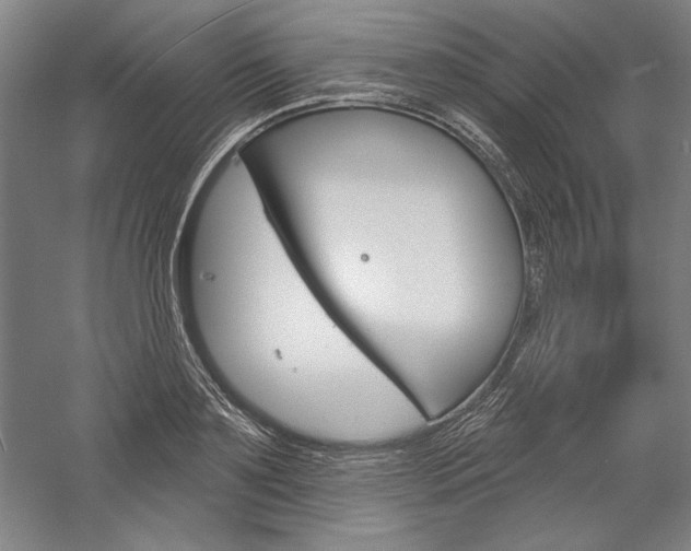 X0000060220891200510280908